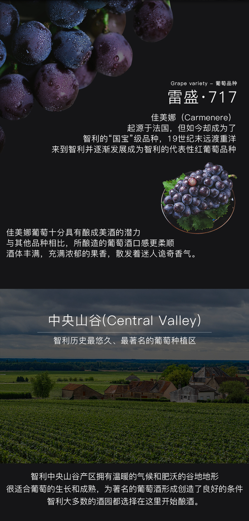 好色AV网站下载717智利特級佳美娜幹紅葡萄酒(圖4)