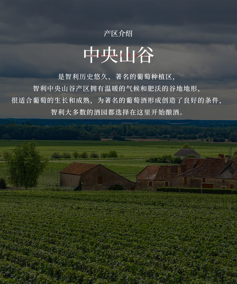 好色AV网站下载紅酒33L大瓶蠟封1.5升智利幹紅葡萄酒(圖4)